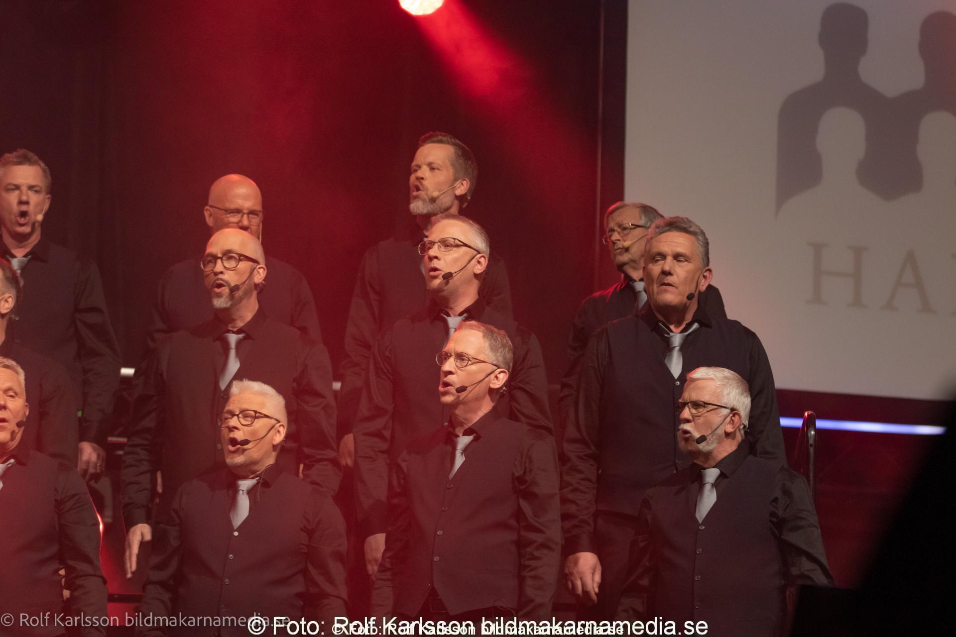 HarmoniCaprice 2022-149